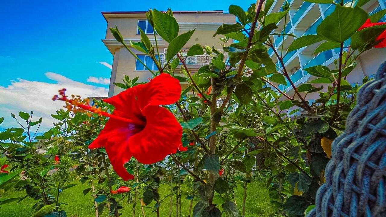 Club Wasa Holiday Village All Inclusive Toslak 외부 사진
