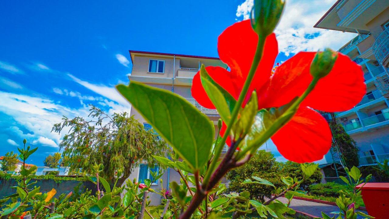 Club Wasa Holiday Village All Inclusive Toslak 외부 사진